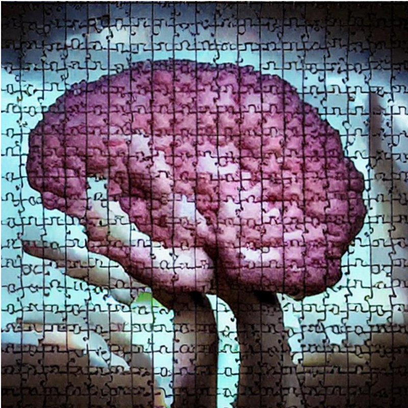 Neurodiversiteit: waarom ook introversie daaronder valt