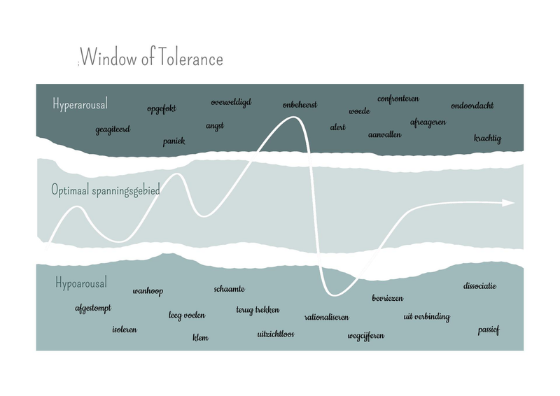 window of tolerance
