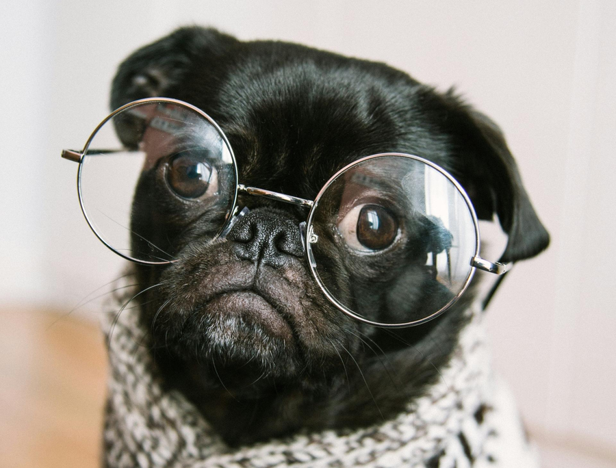 Why 'fake it till you make it' doesn't work for introverts