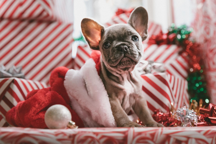 Hoe je als introvert rust vindt in de drukke decembermaand