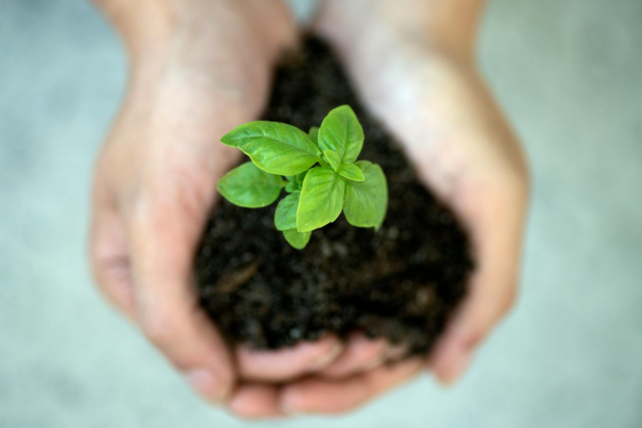Are introverts born or made?
